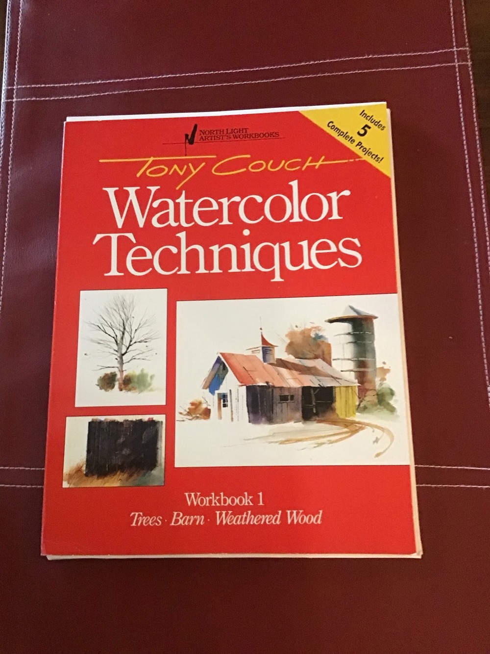 Watercolor Techniques Workbook by Tony Couch